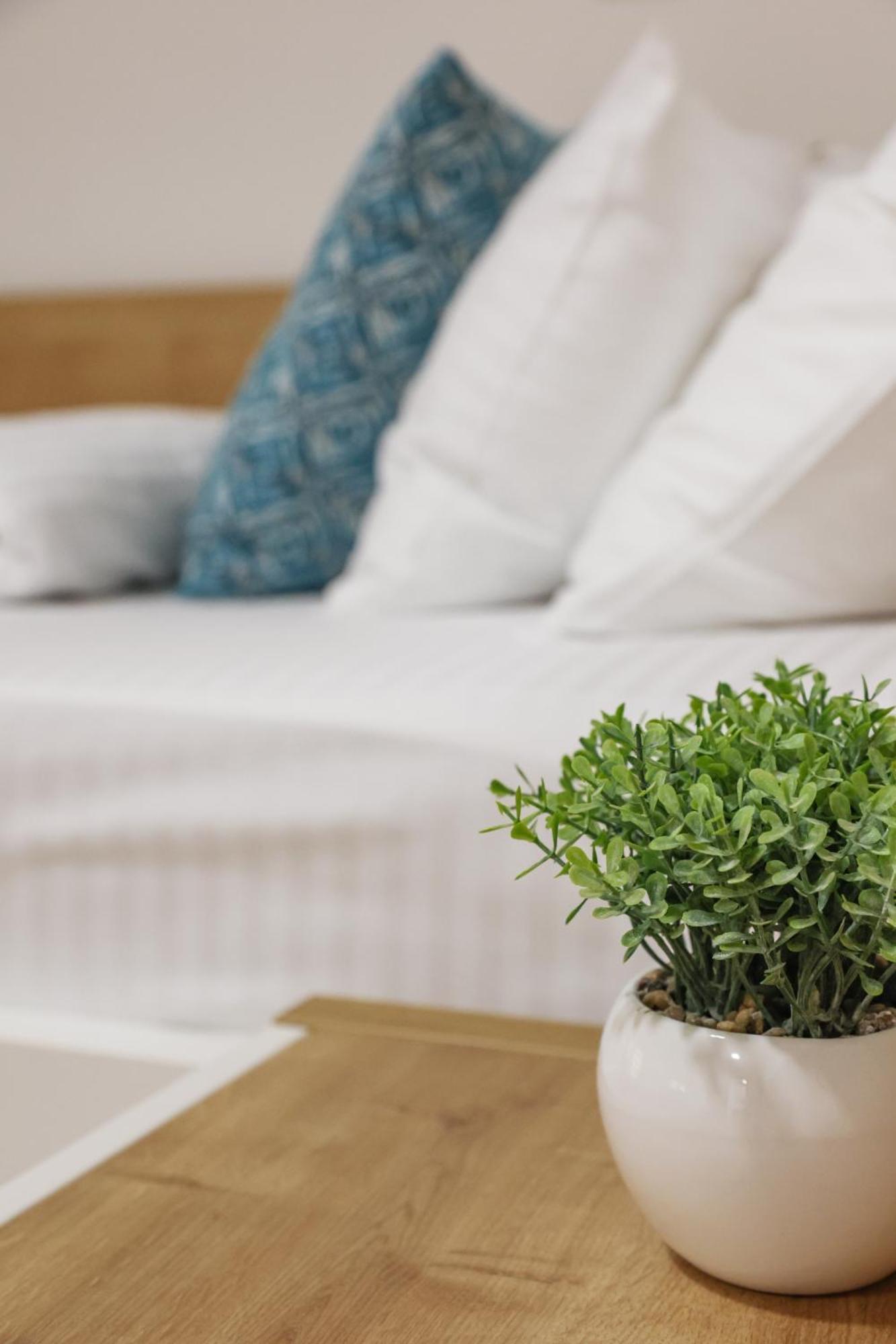 Grand Park Rooms & Apartments Čačak المظهر الخارجي الصورة